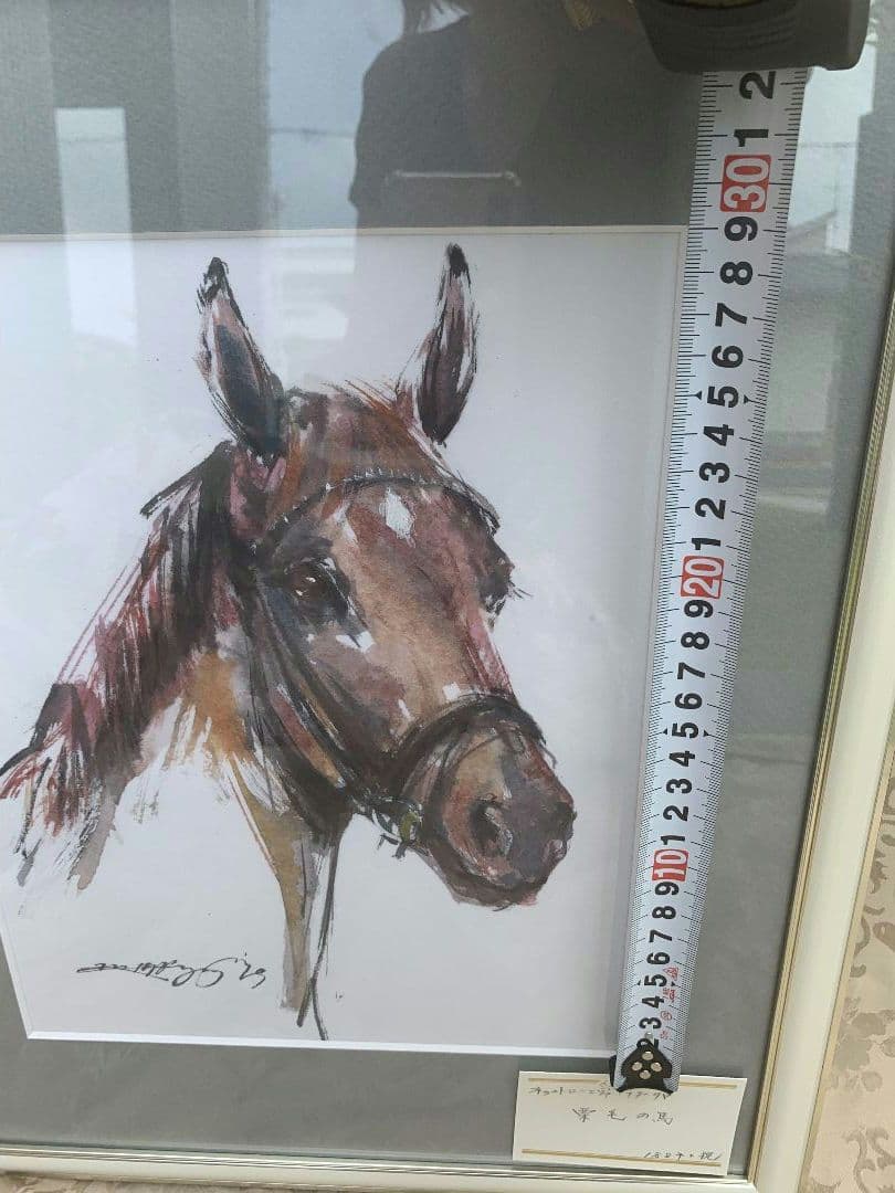 馬　水彩画