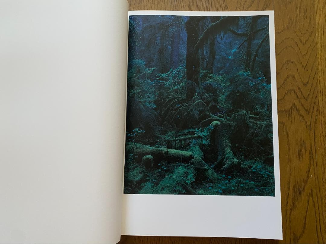 上田義彦「クゥィノルト/QUINAULT」1993年　直筆サイン入り　美品