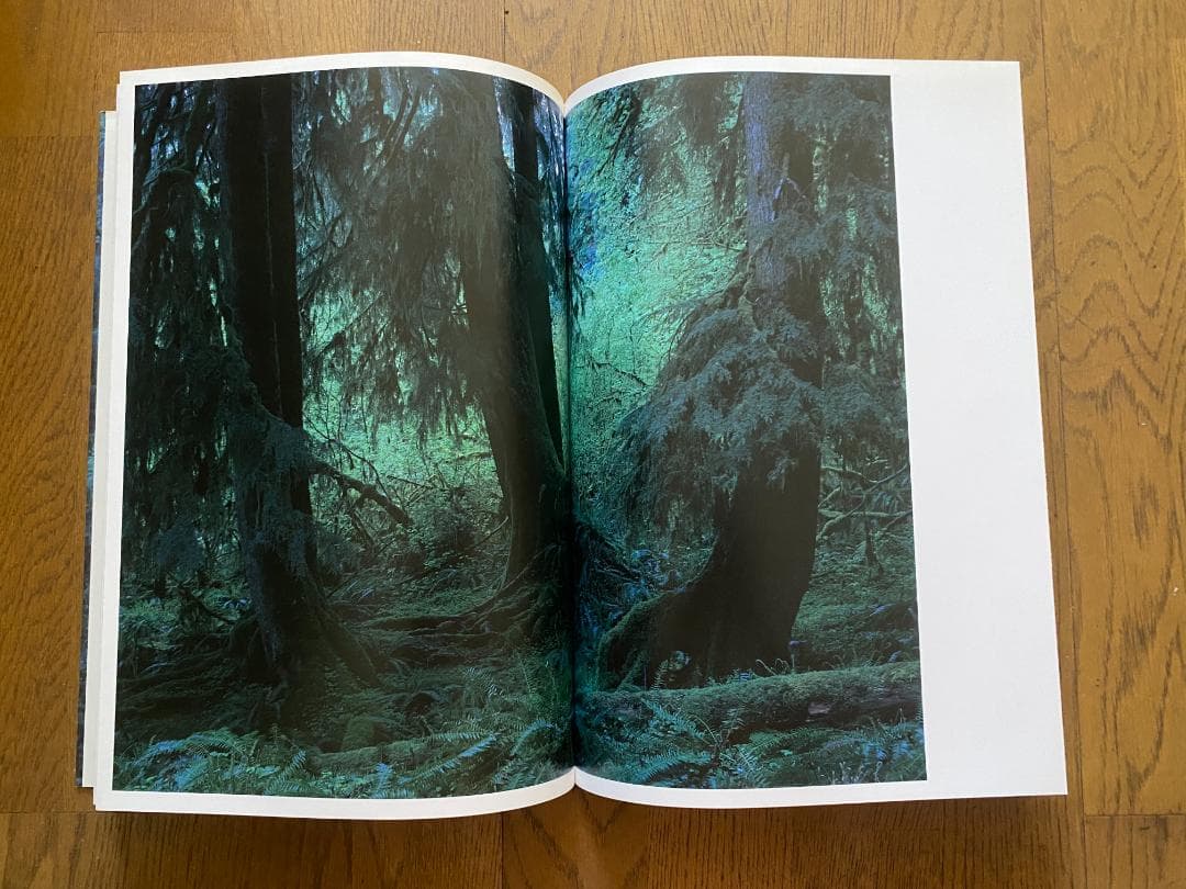 上田義彦「クゥィノルト/QUINAULT」1993年　直筆サイン入り　美品