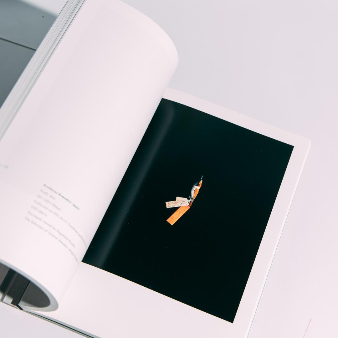 希少本 BIOSOPHIA of BIRDS : 上田義彦 原研哉