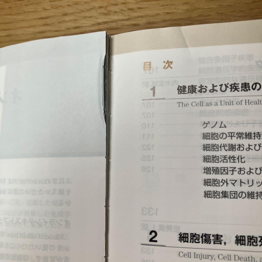 ロビンス 基礎病理学 第10版