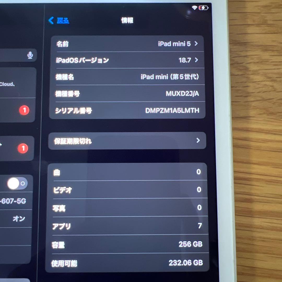 iPad本体 iPad mini 5 256GB Wi-Fi + Cellular