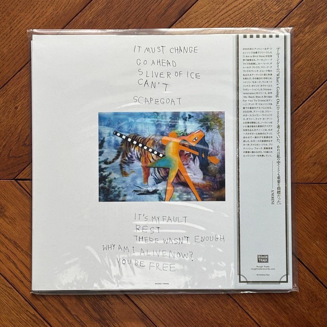 ANOHNI and the Johnsons BIG LOVE盤 レコード