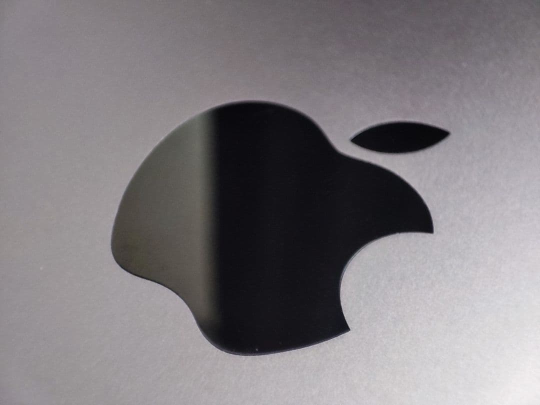 iPad Air 第3世代 64GB Cellular 本体＋ケース