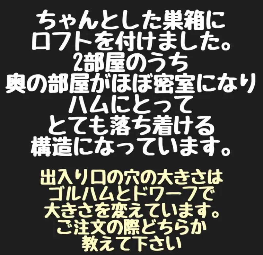 a.i　ハムスター　ブカスター650用　ロフト