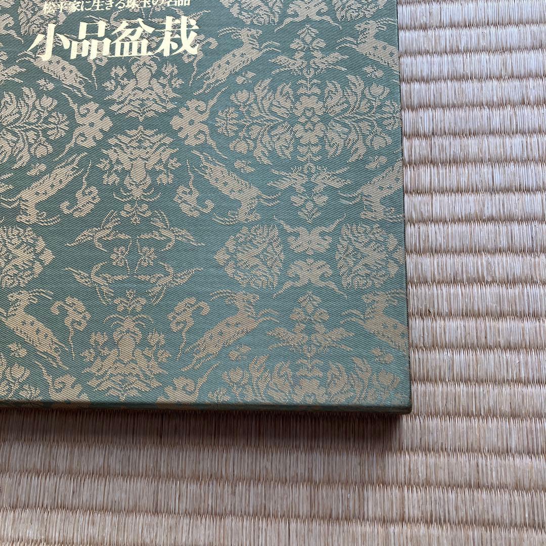 松平家に生きる珠玉の名品　小品盆栽