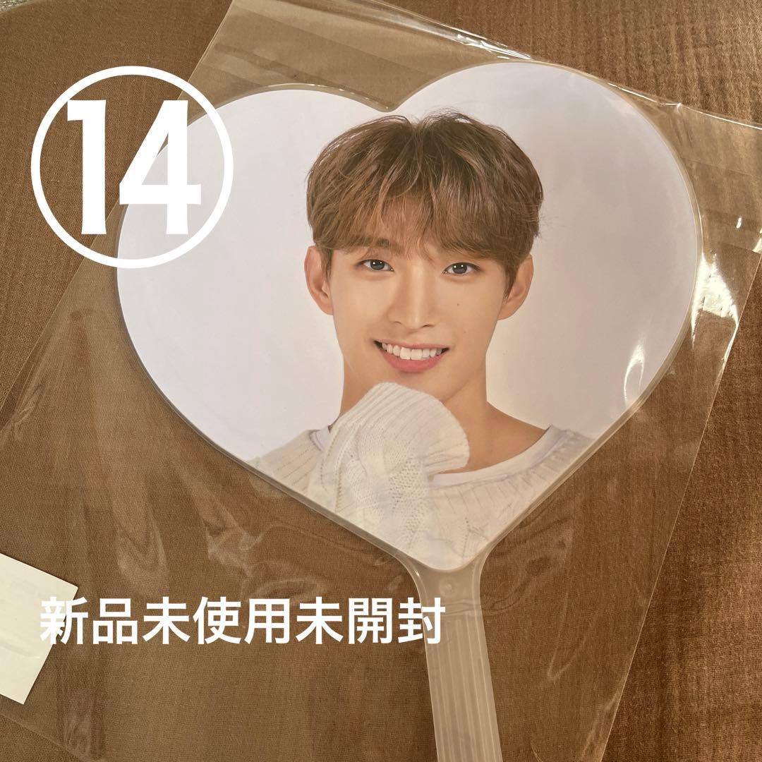 SEVENTEEN ドギョム DK うちわ 最安値 まとめ買い