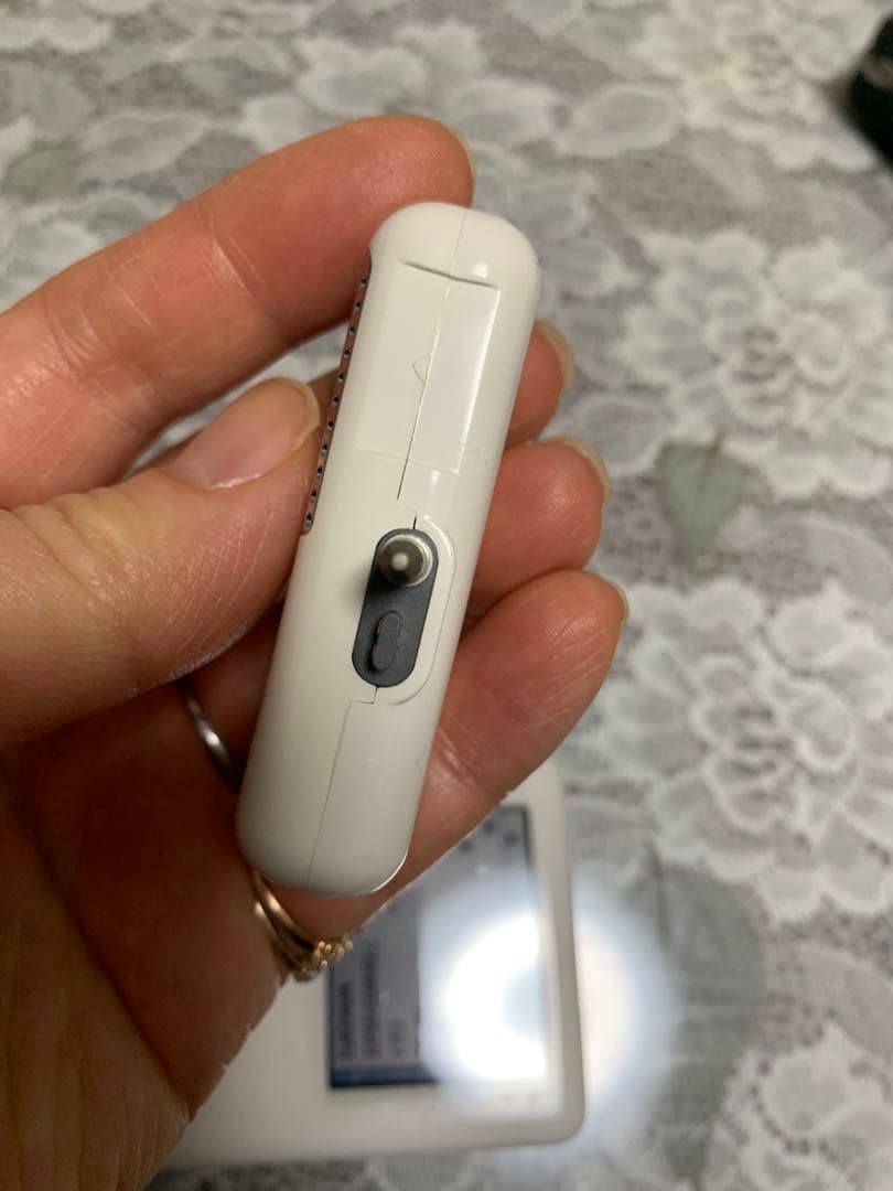 &中古 Apple iPod 30GB A1099