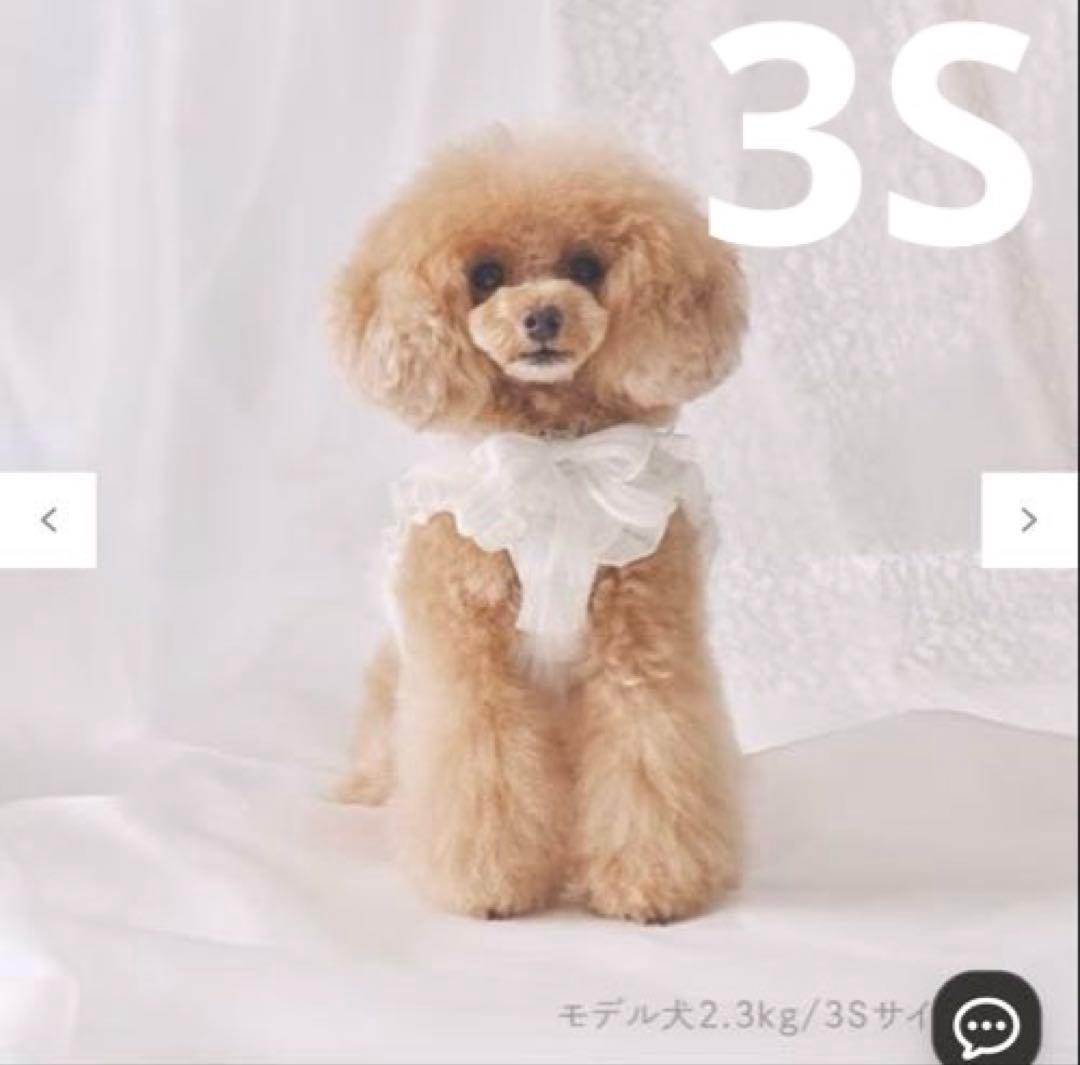 極美品♡フリフリハーネス、フリフリリード