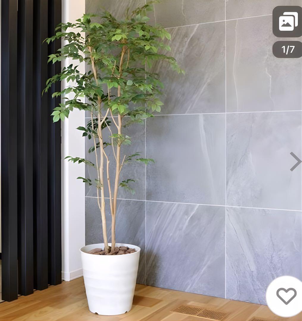 光触媒　人工観葉植物　フェイクグリーン　マウンテンアッシュ1.8m
