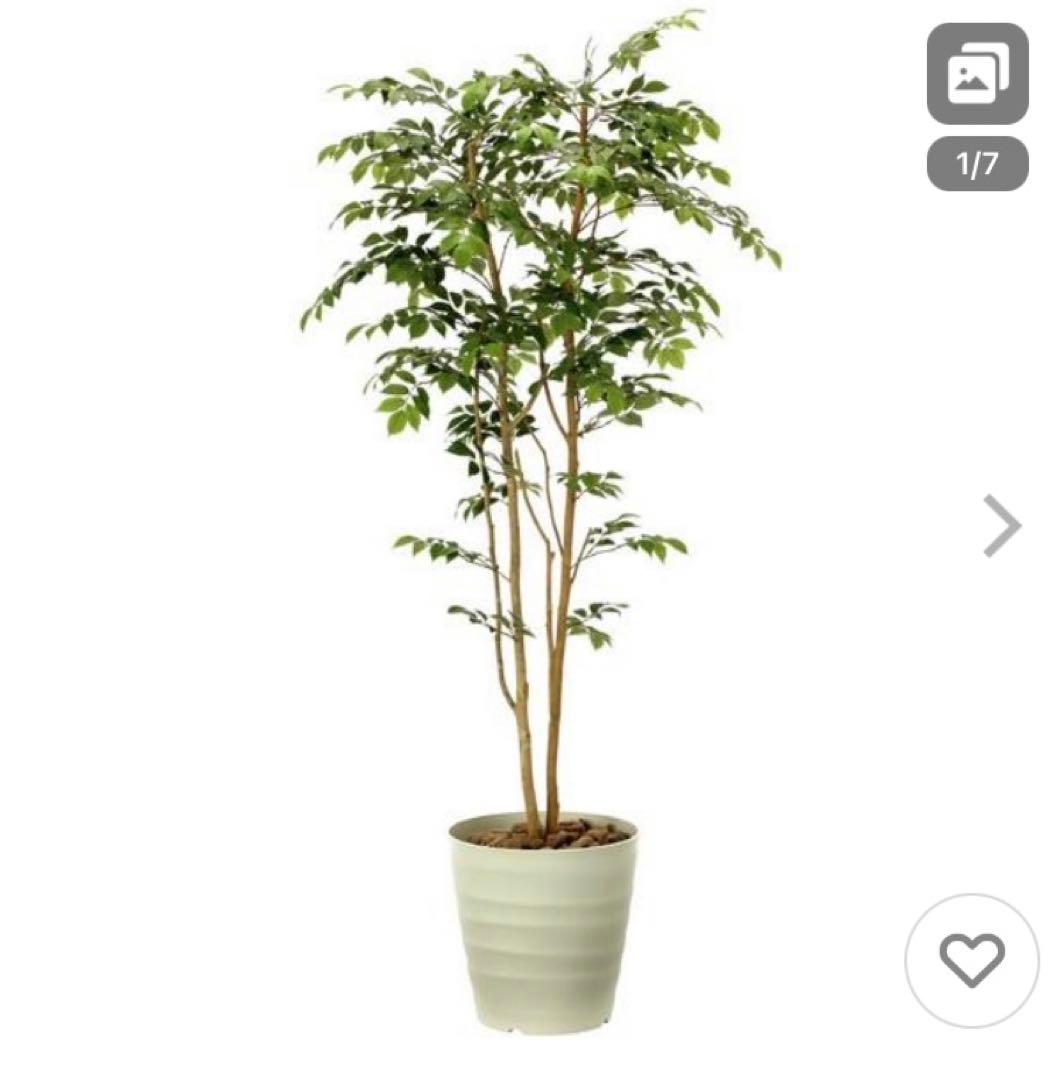 光触媒　人工観葉植物　フェイクグリーン　マウンテンアッシュ1.8m