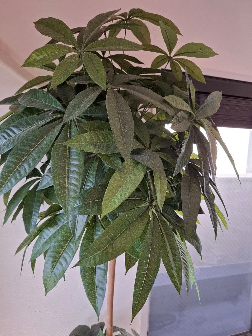 人工観葉植物 高さ150cm ホワイト鉢パキラ