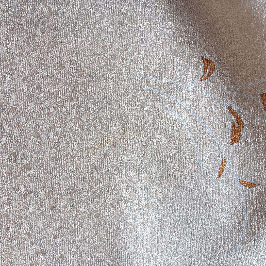 〈長襦袢半衿➕〉付け下げ　フルセット　着物　正絹　ロング丈　杏色　おしどりJ9