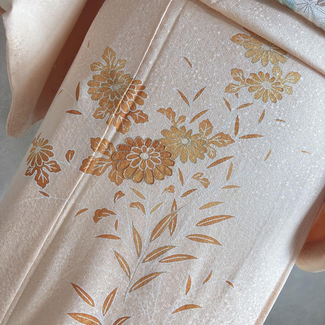 〈長襦袢半衿➕〉付け下げ　フルセット　着物　正絹　ロング丈　杏色　おしどりJ9