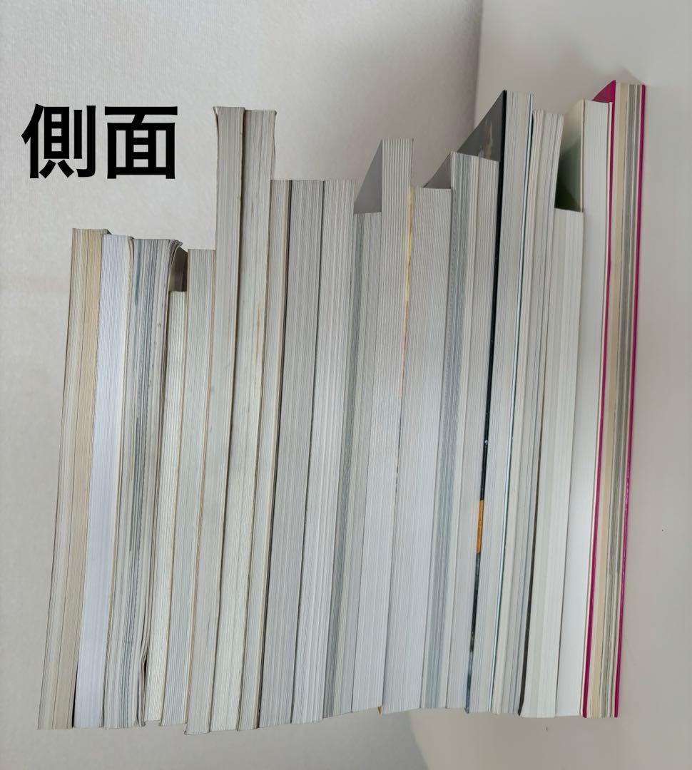 美品 美術展図録 美術館図録 ミュシャ マネ シャガール ローランサン 印象派