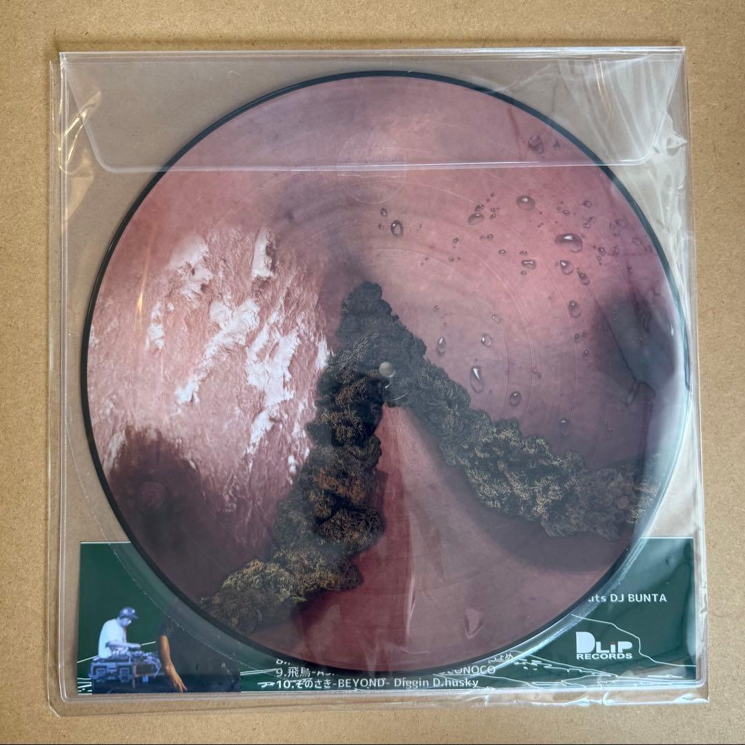 DUSTY HUSKY - 山越 [LP]