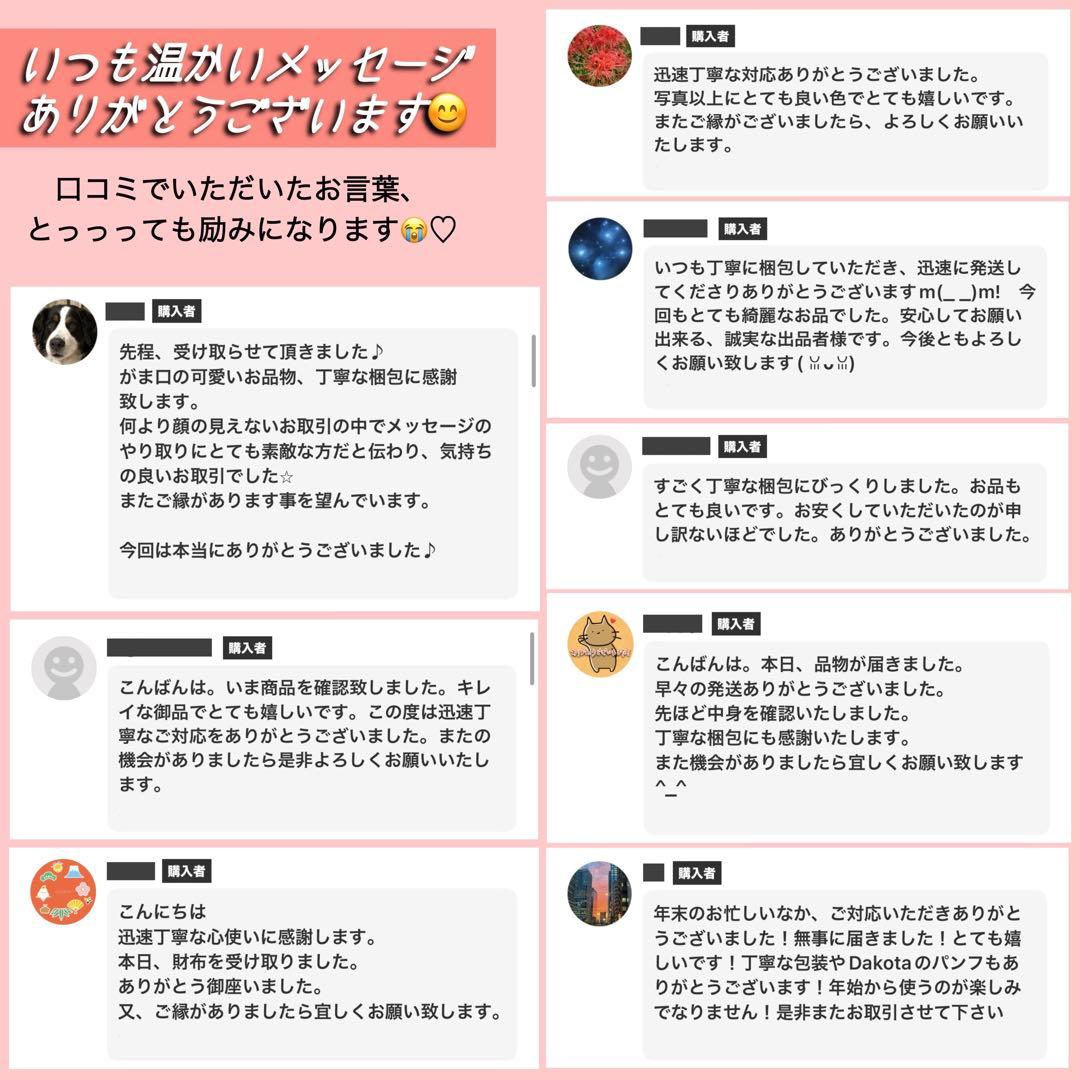 hirochan✨CELINEセリーヌ長傘Cマカダム総柄トリオンフ保存袋