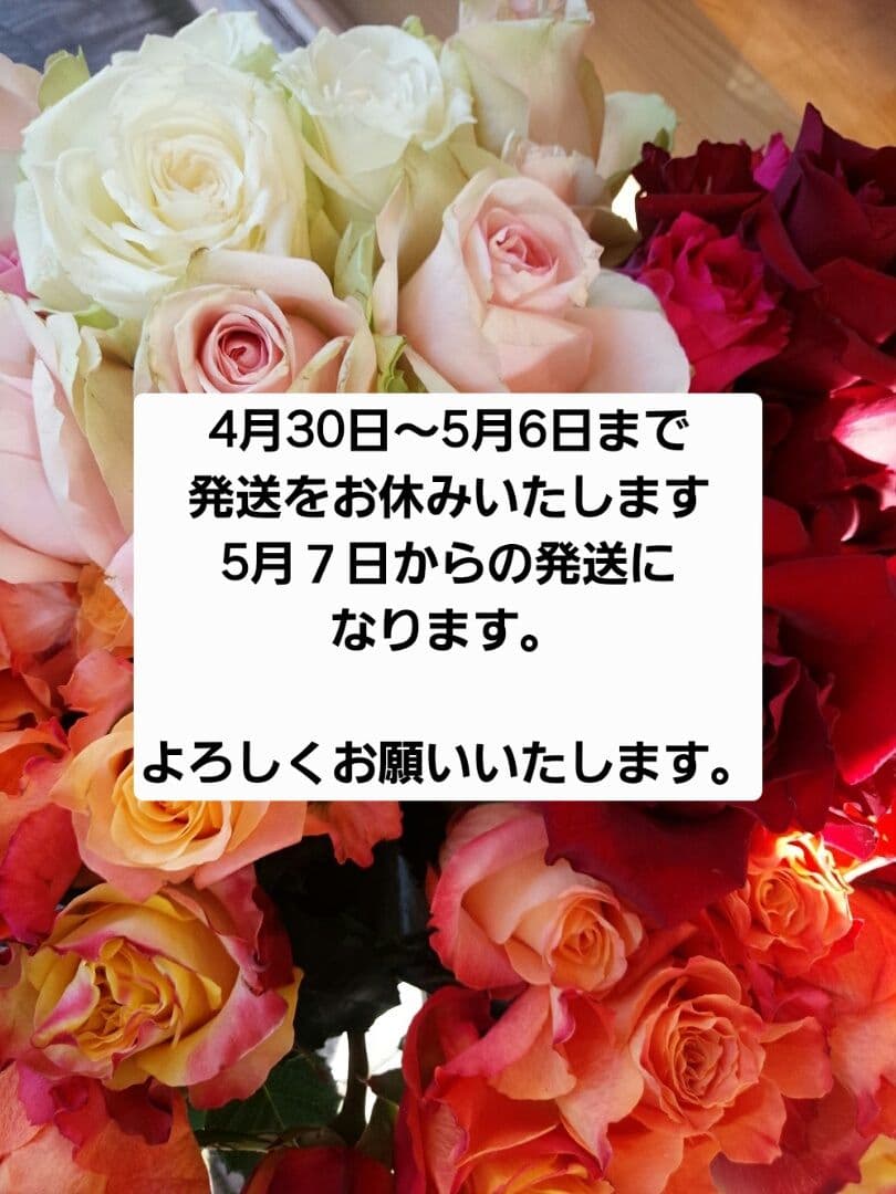 PHILIPPI フィリッピ　OMEGA オメガベース フラワーベース 花瓶