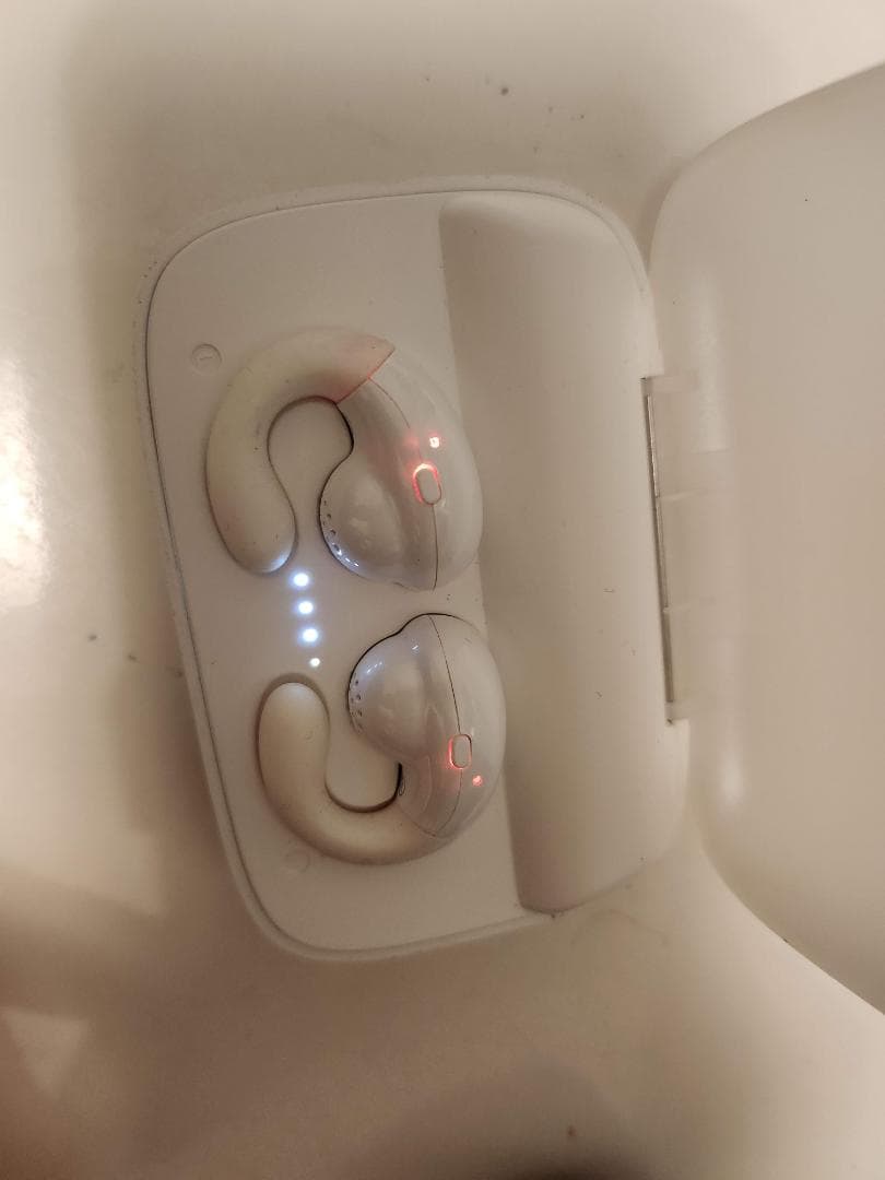 SHOKZ OPENDOTS ONE + オープンイヤー3機種おまけ！ケースも！