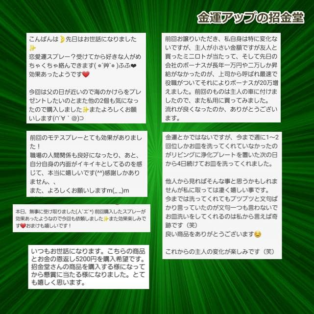最強金運アップ オルゴナイト『金運神降臨』 金運風水八角錐オルゴナイト No22