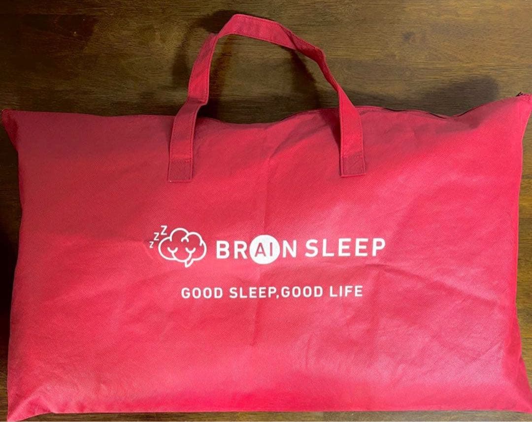 BRAIN SLEEP Low メッシュ枕 収納バッグ付き
