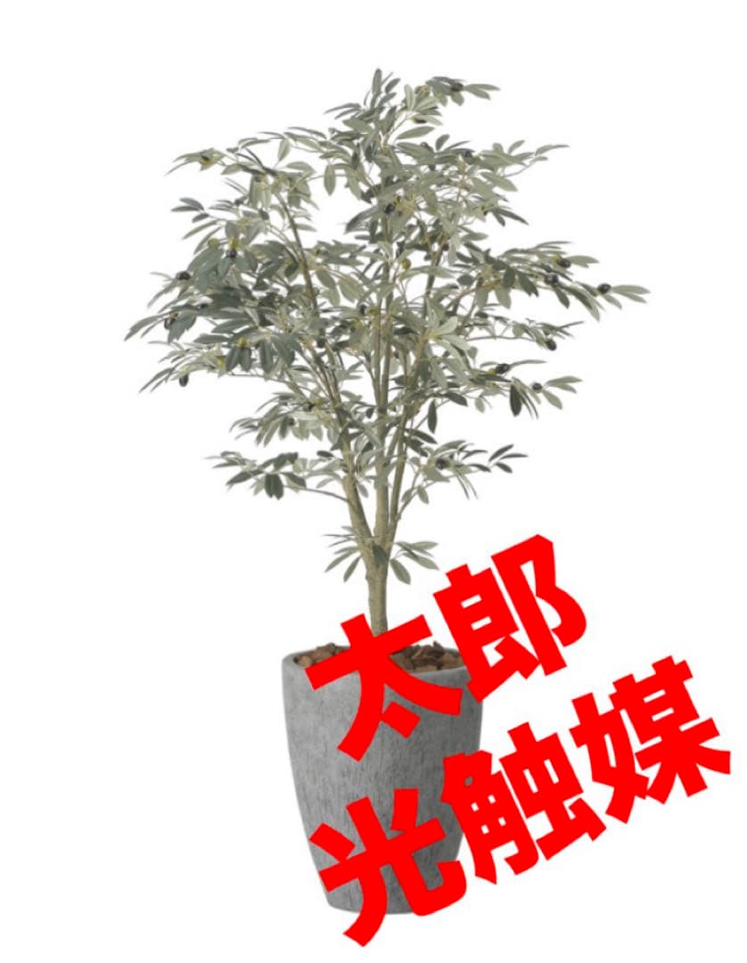 光触媒　人工観葉植物　フェイクグリーン　ナチュラルオリーブツリー1.5