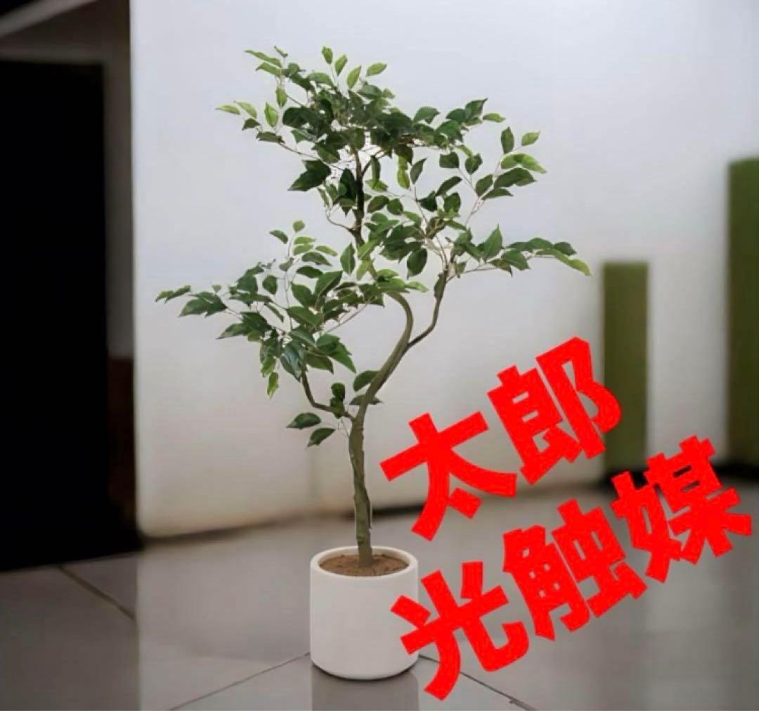 光触媒　人工観葉植物　ウォールグリーン　フェイクグリーン　ベンジャミンポット@p