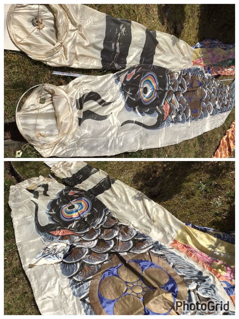 ●逸品〓旧家整理品●高級 鯉のぼり●幸正監修・飛翔之鯉『大利』6M●家紋丸に梅鉢