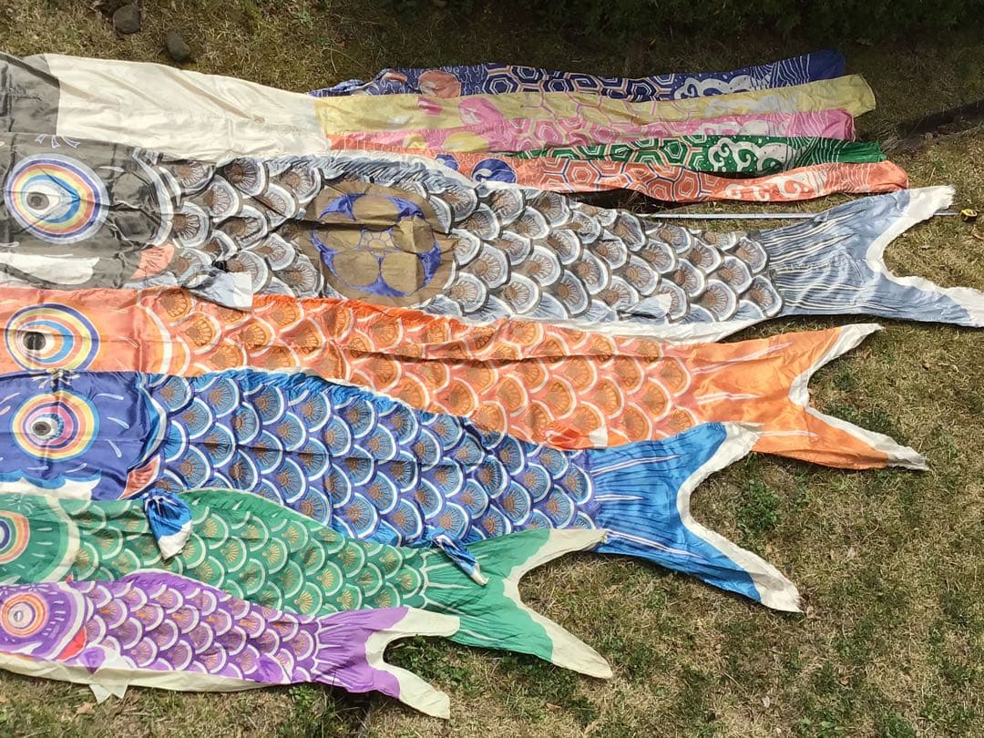 ●逸品〓旧家整理品●高級 鯉のぼり●幸正監修・飛翔之鯉『大利』6M●家紋丸に梅鉢