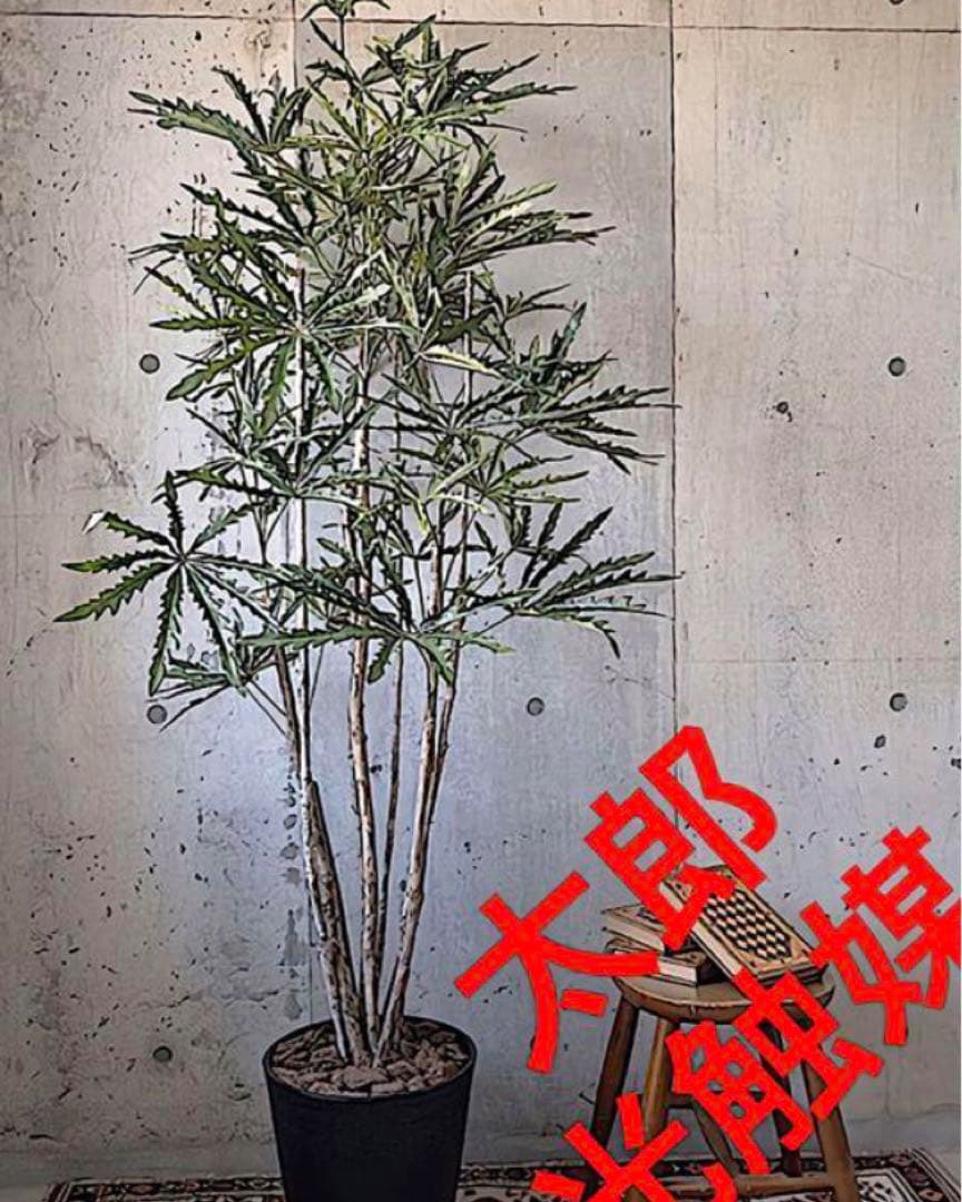 光触媒　人工観葉植物　ウォールグリーン　フェイクグリーン　アラレアgtj