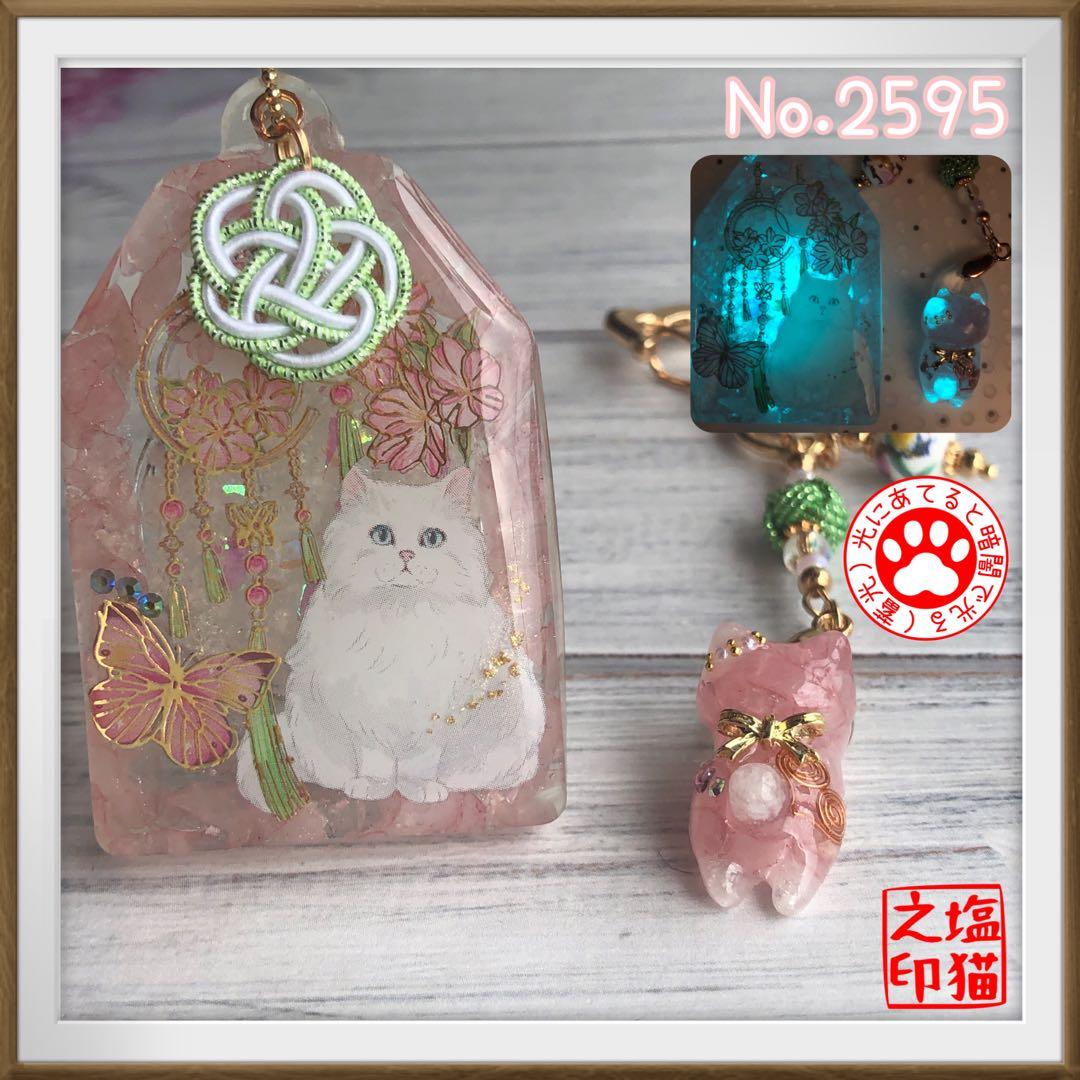 桔梗 サマ♡10点☆6/1