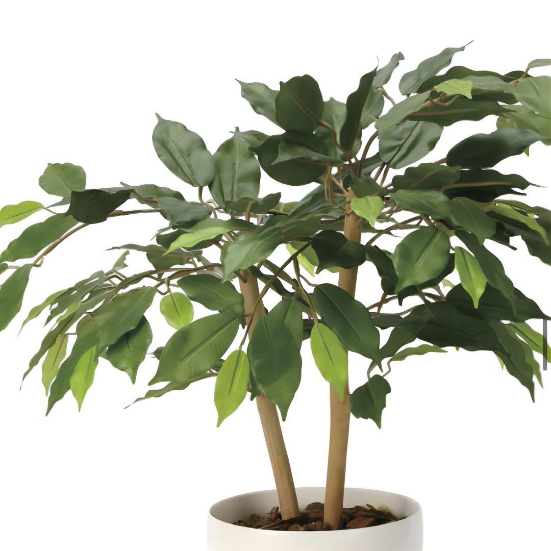 光触媒　人工観葉植物　ウォールグリーン　フェイクグリーン　ショートベンジャミン@