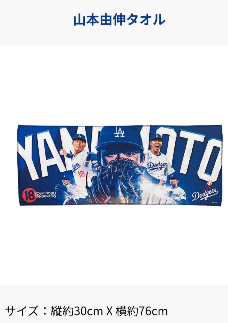 ロサンゼルス・ドジャース ファンクラブ入会記念グッズ6点セット