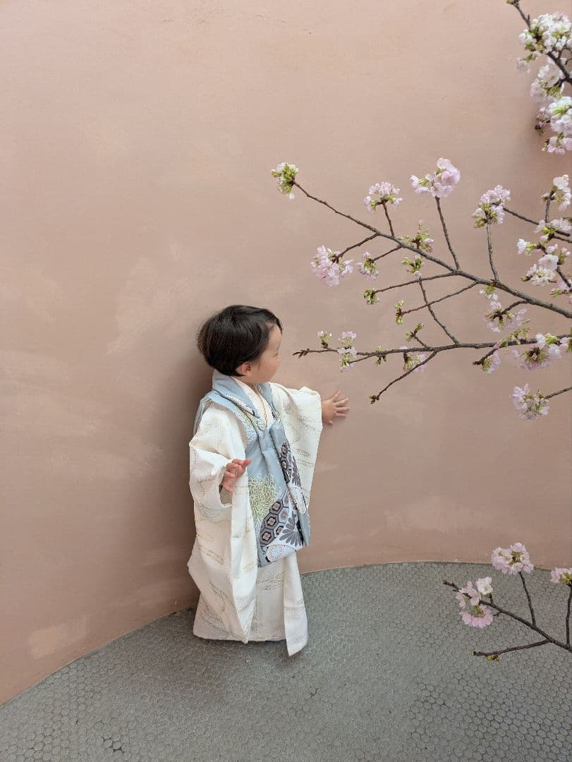 【最終お値下げ】ひよこ商店七五三被布着物セット