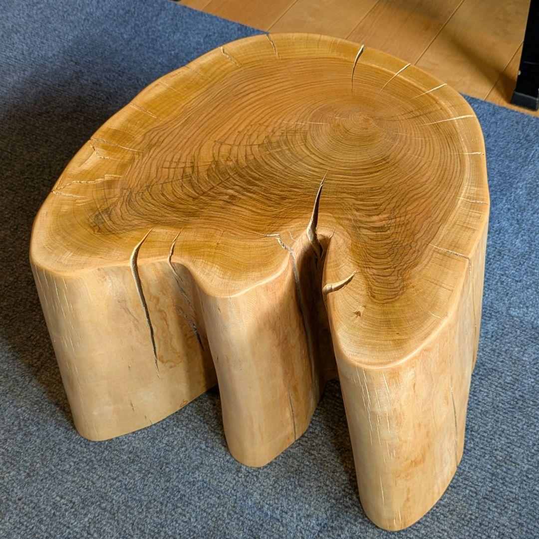 ななしさん 山桜 切り株 高さ約20㎝ 9000円