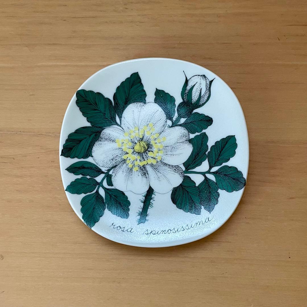 ARABIA アラビア　Botanica（ボタニカ）シリーズ　プレート①