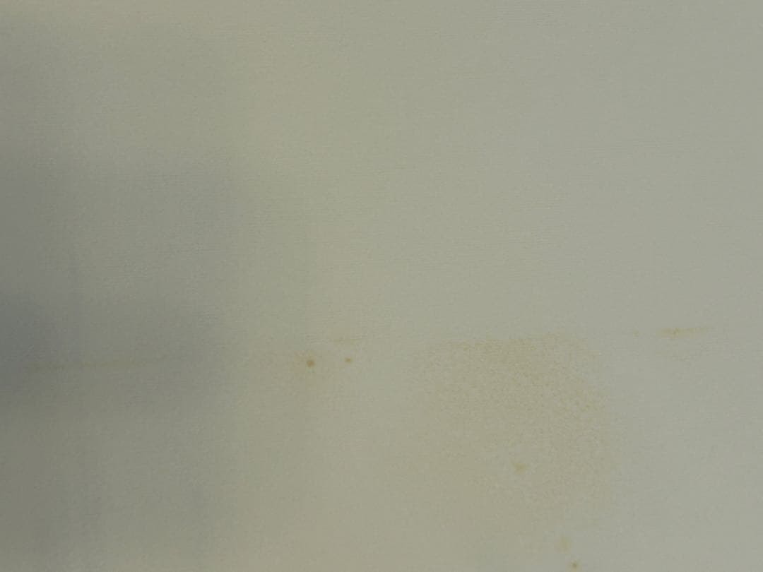 ハミルトン・ピクチャーズ David Hamilton 初版 帯、フライヤー付