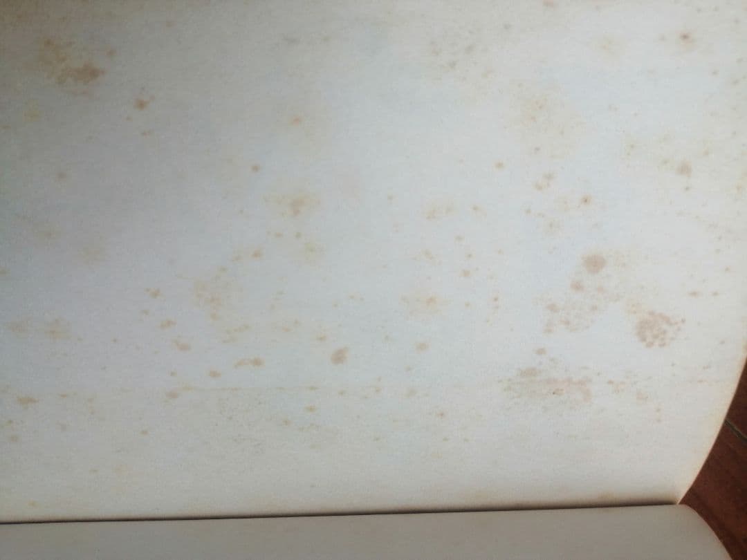 K*n様 ハンターハンター 1～36巻セット