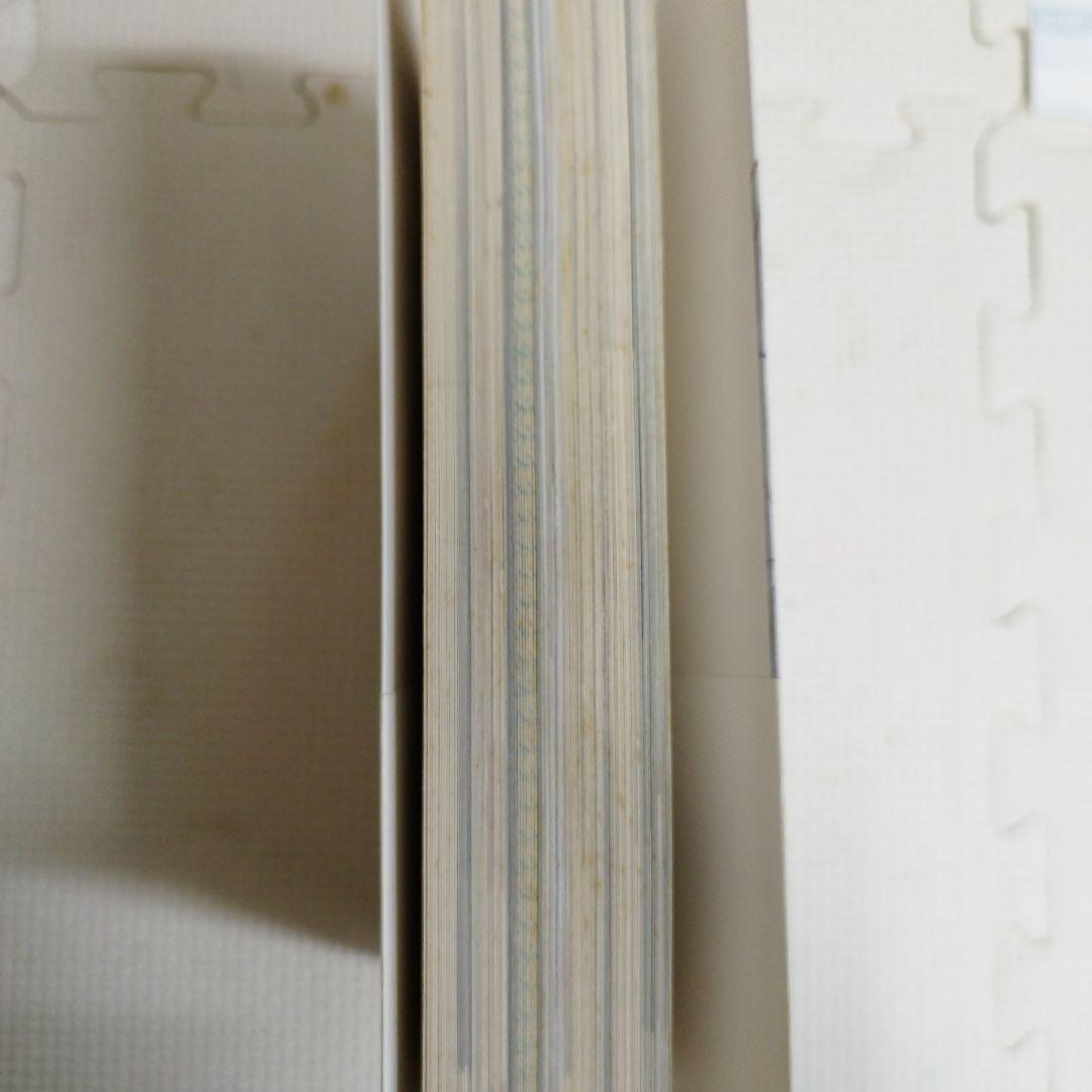 aiko CD DVD ファンクラブ会報 LiveBook aikobon