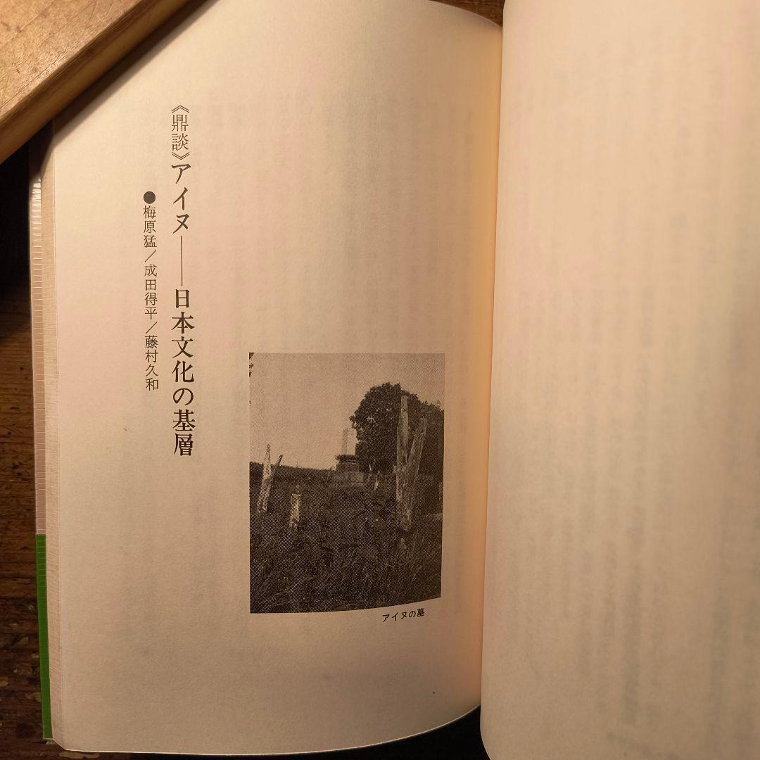 アイヌの霊の世界 藤村久和