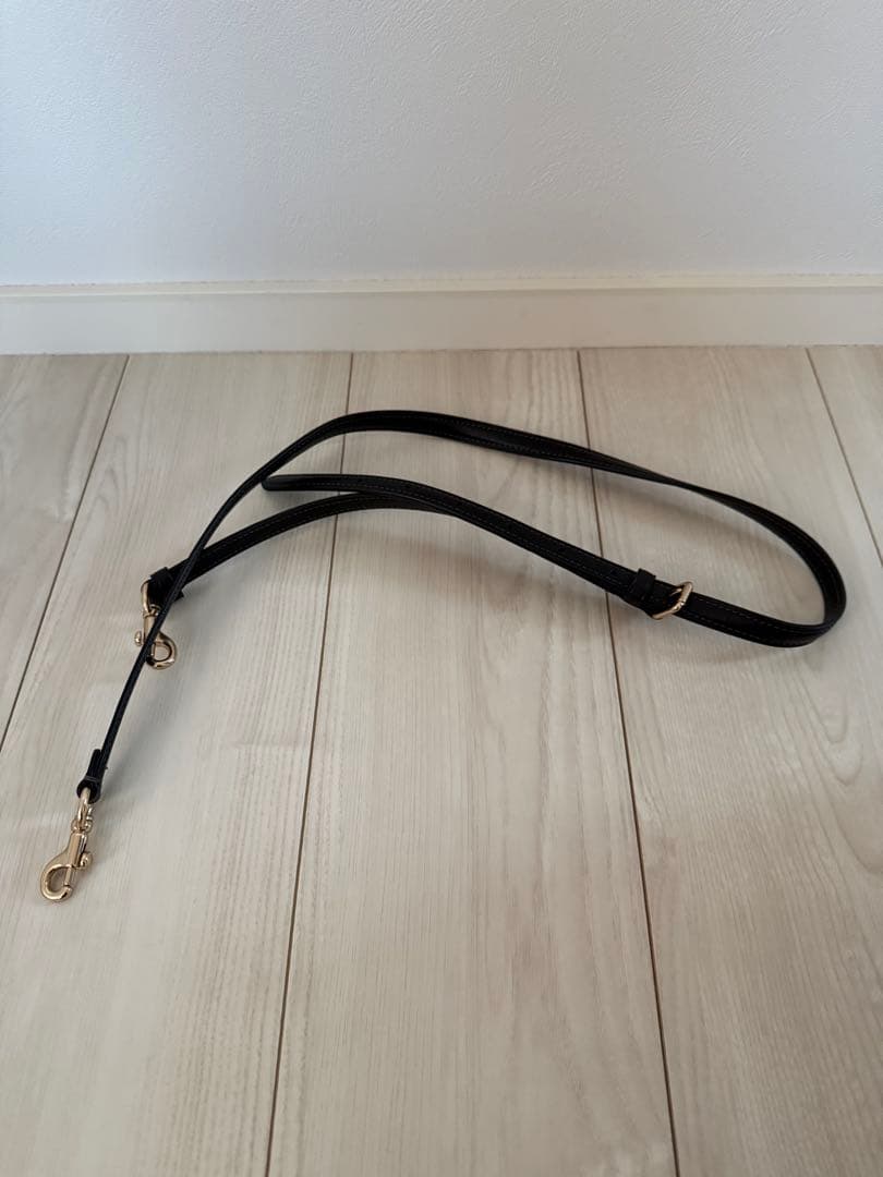 coach アンドレア ミニ キャリーオール・シグネチャー キャンバスバッグ