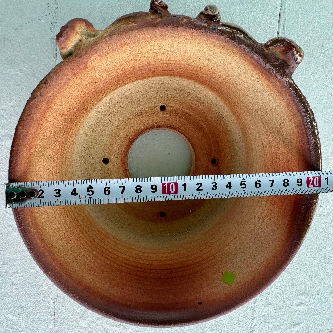 陶器　鉢　Japan　Art　アガベ　パキプス　塊根　盆栽　植物