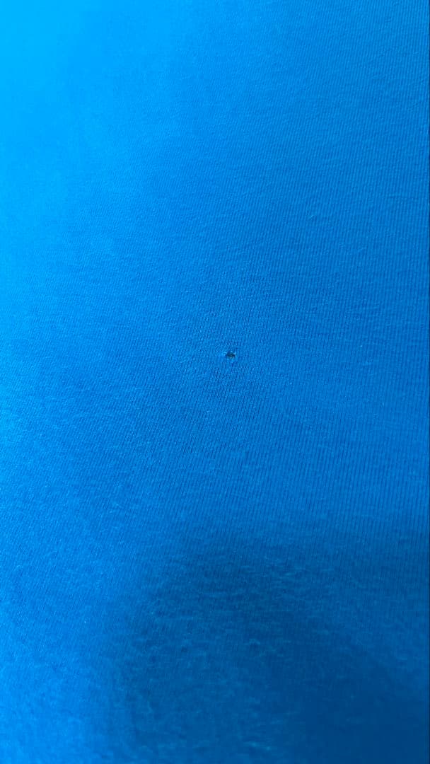 【受取限定　東京都】ヨギボー　マックス