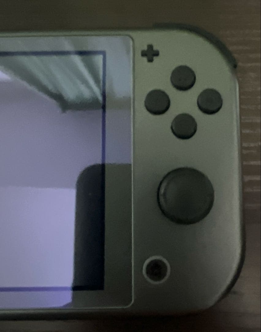 スイッチ ライト ディアルガ パルキア 本体