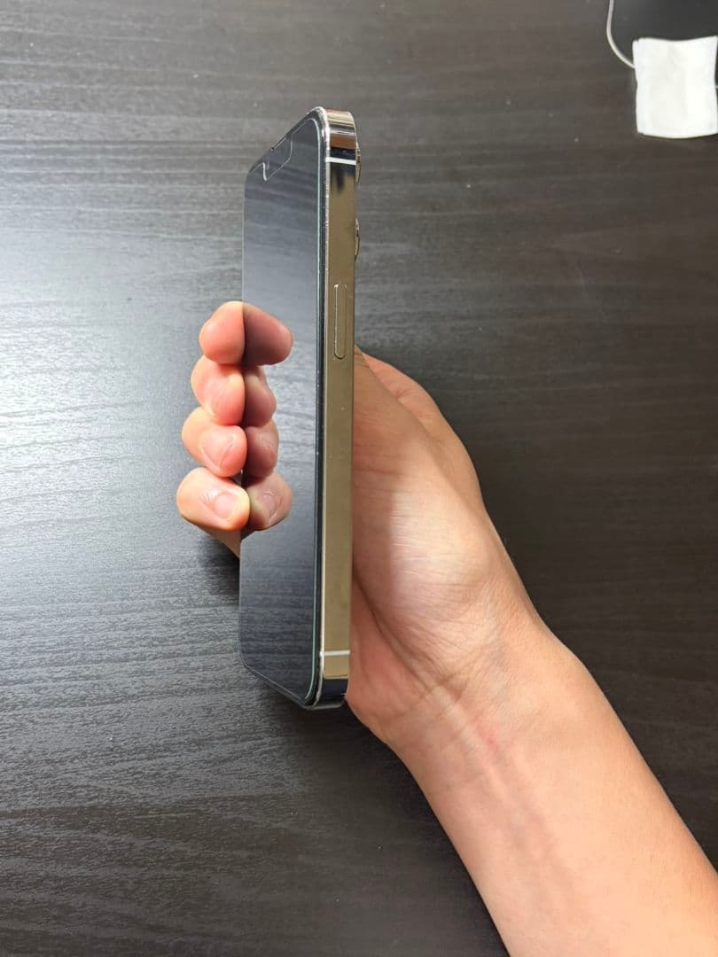 Apple iPhone13pro 256GB シルバー本体 バッテリー100%