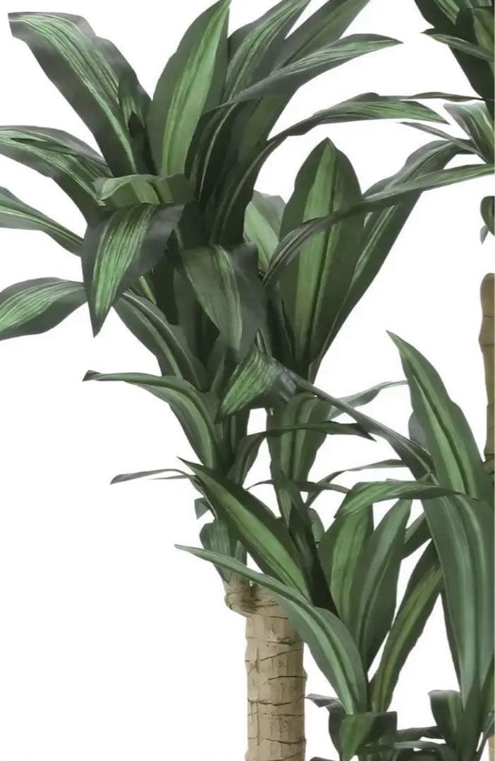 光触媒　人工観葉植物　フェイクグリーン　ドラセナ　幸福の木マッサン160