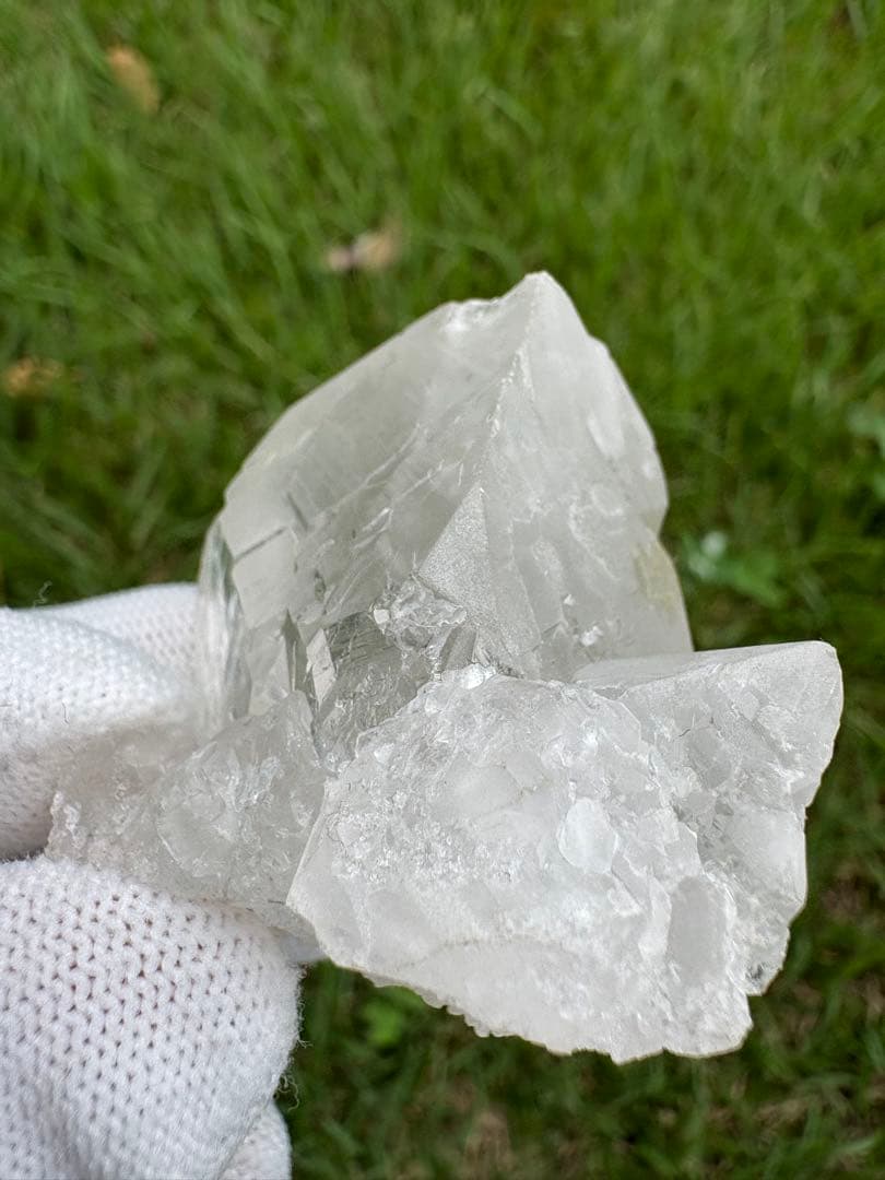 【匿名発送】パキスタン産グインデル