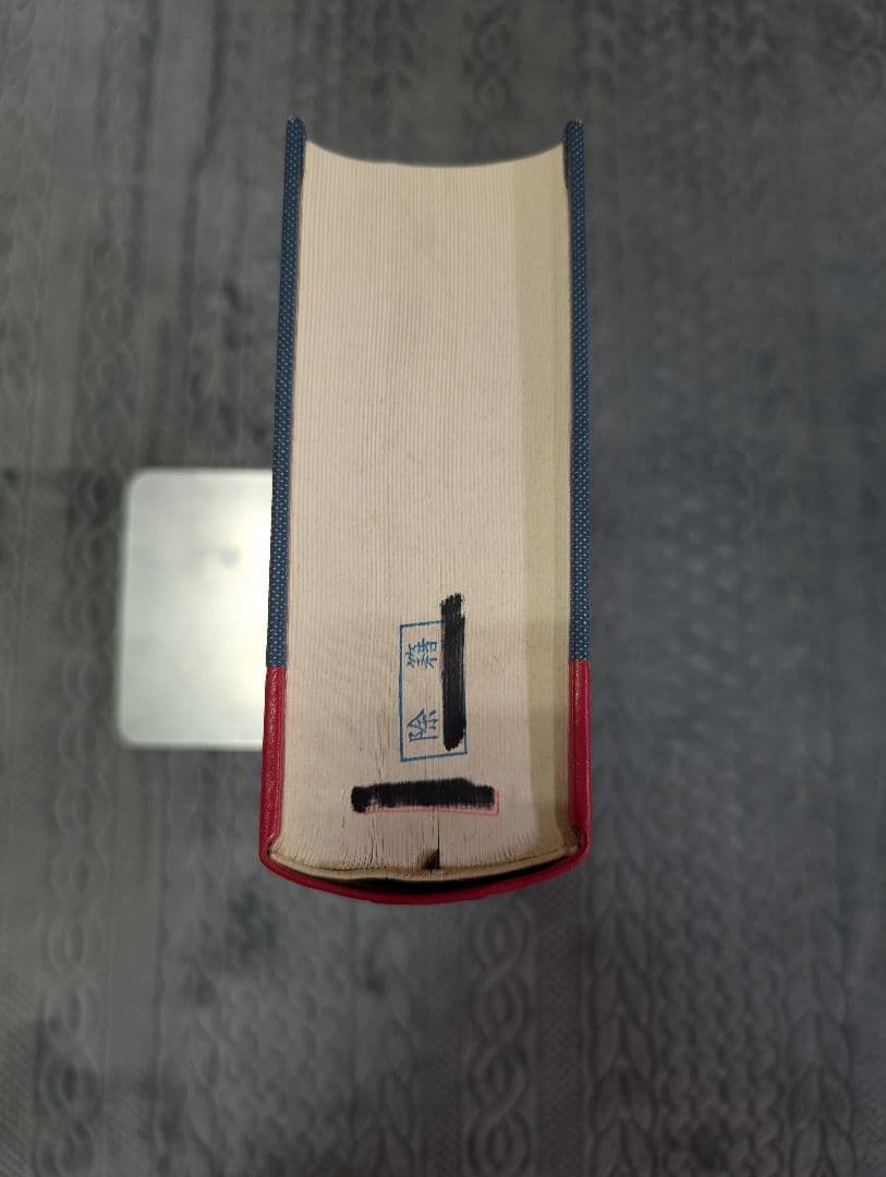 琉球語辞典 半田一郎 大学書林 沖縄 参考書 辞典 除籍本