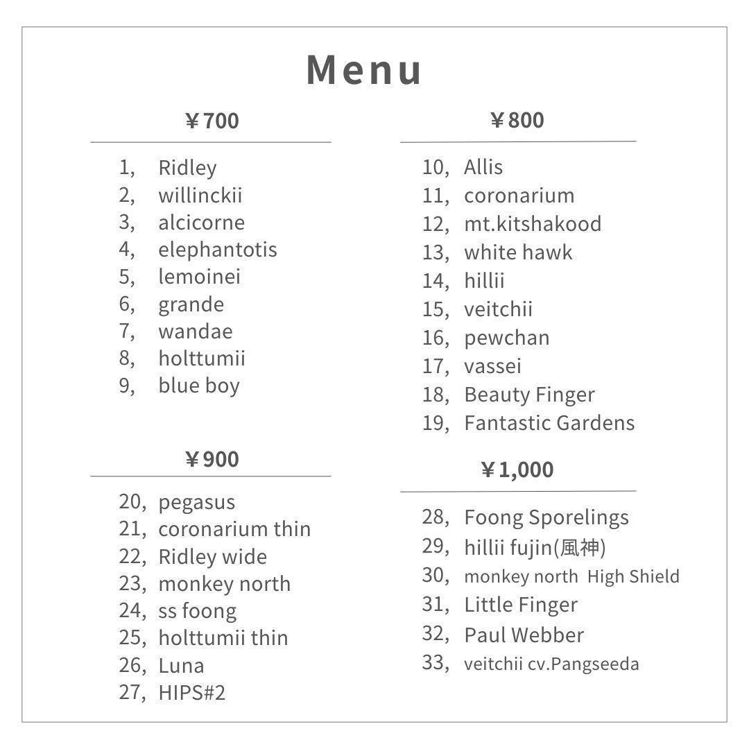 【数量限定】ビカクシダ胞子　60種セット