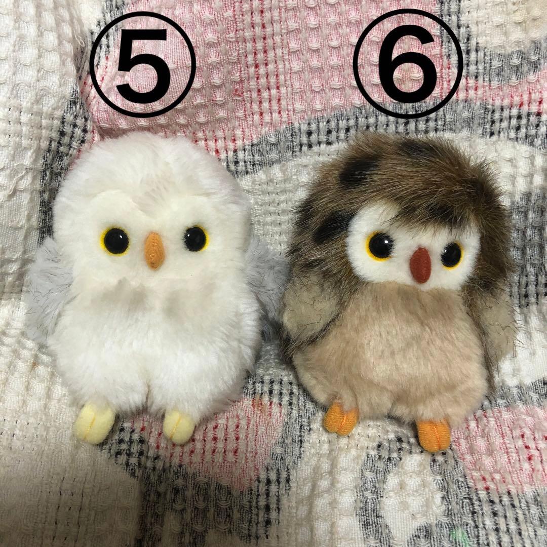 セキグチ　sekiguchi 鳥鳥まつり　フクロウ他ぬいぐるみセット　中古品